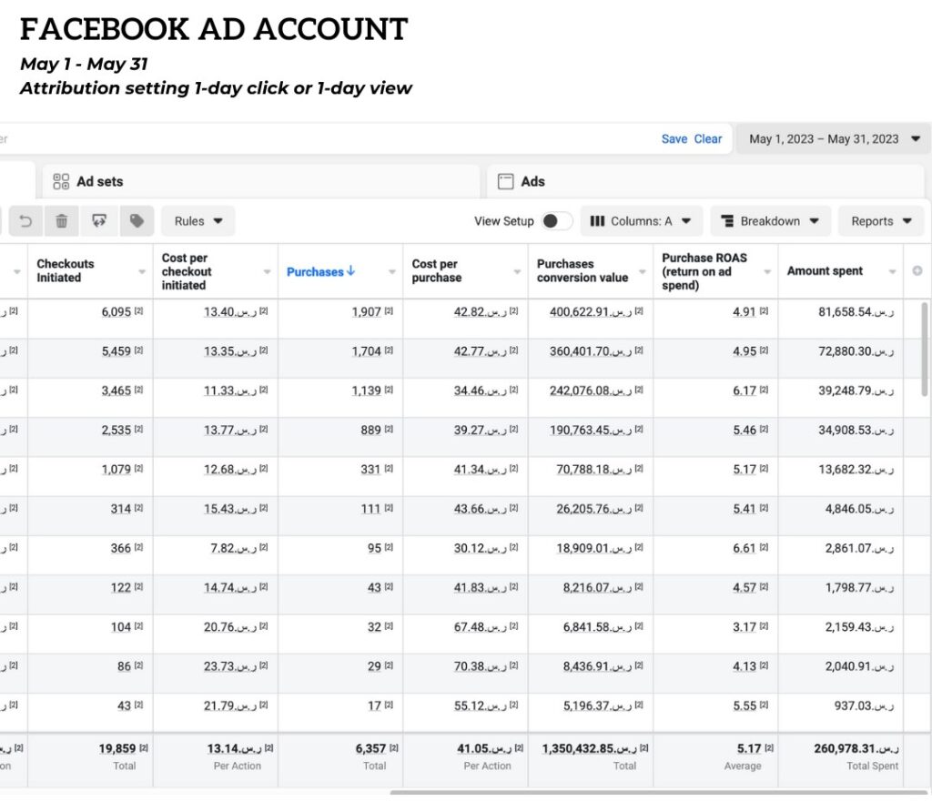 Meta Ads Manager: monthly purchases, conversion value and ROAS
